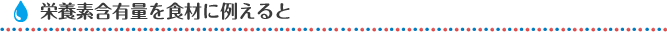 栄養素含有量を食材に例えると